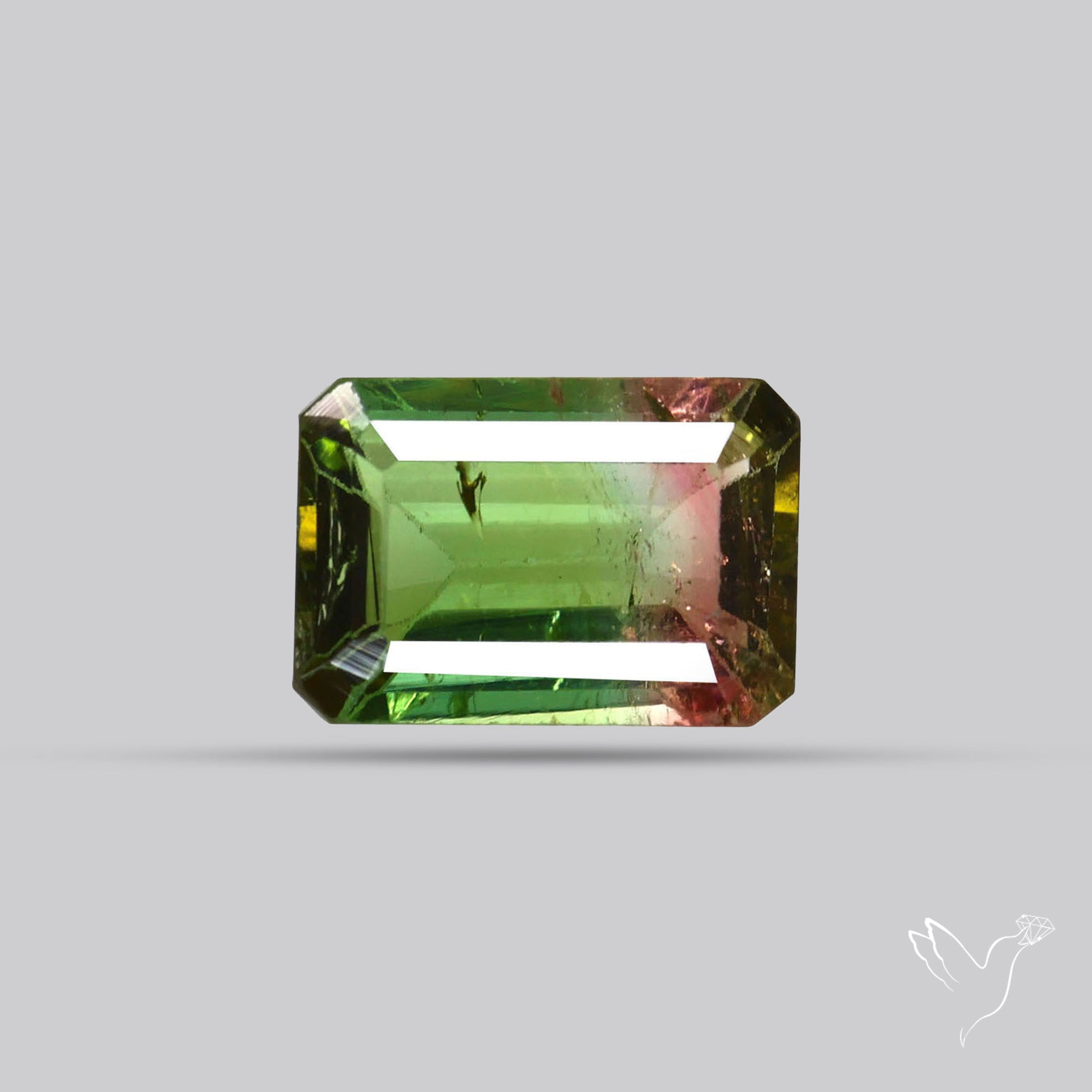 Faceted Bi-Colour Tourmaline