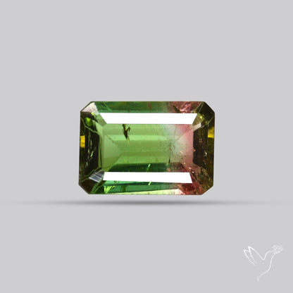 Faceted Bi-Colour Tourmaline