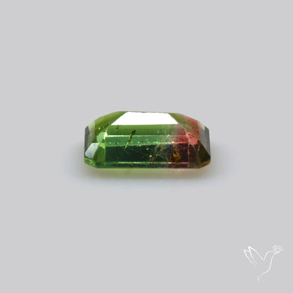 Faceted Bi-Colour Tourmaline
