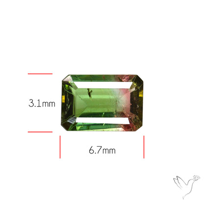 Faceted Bi-Colour Tourmaline