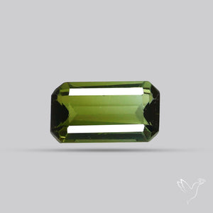 Faceted Green Tourmaline