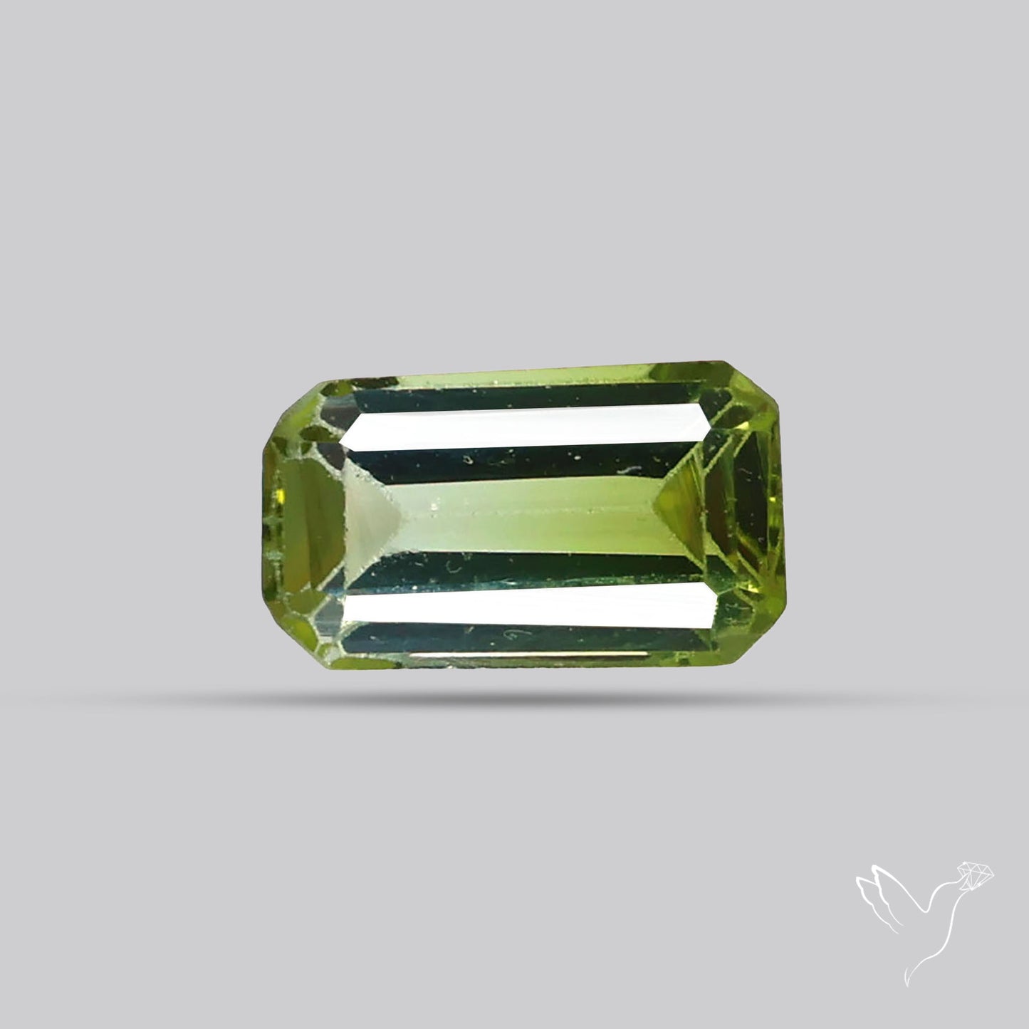 Faceted Bi-Colour Tourmaline