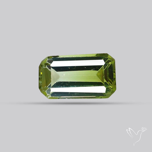 Faceted Bi-Colour Tourmaline