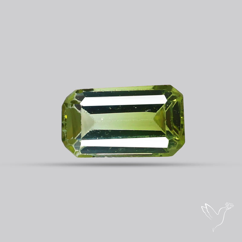Faceted Bi-Colour Tourmaline