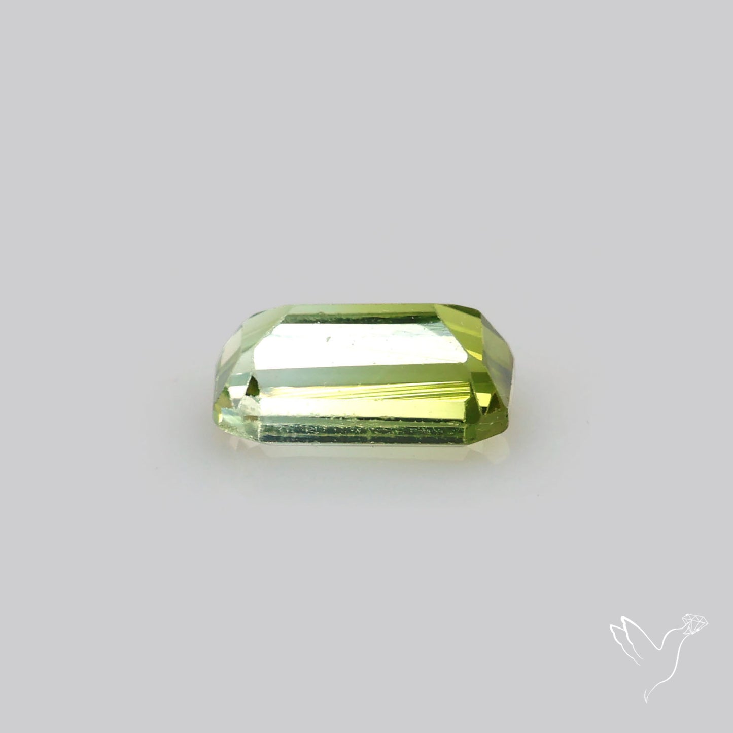 Faceted Bi-Colour Tourmaline