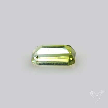 Faceted Bi-Colour Tourmaline