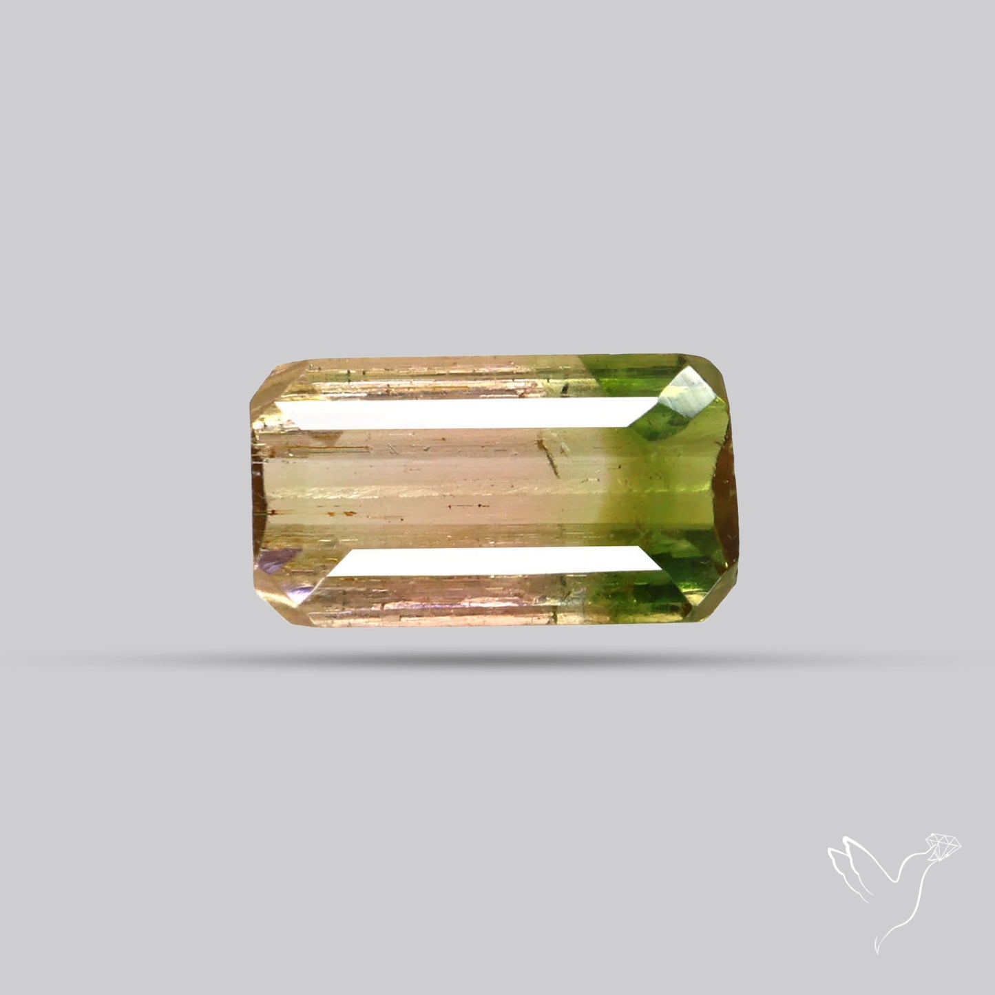 Faceted Bi-Colour Tourmaline