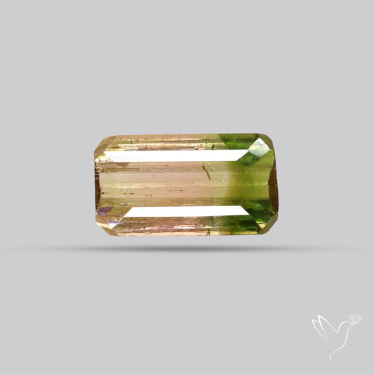 Faceted Bi-Colour Tourmaline