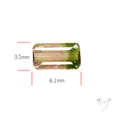 Faceted Bi-Colour Tourmaline