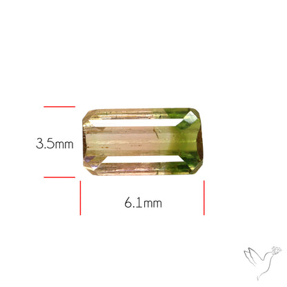 Faceted Bi-Colour Tourmaline