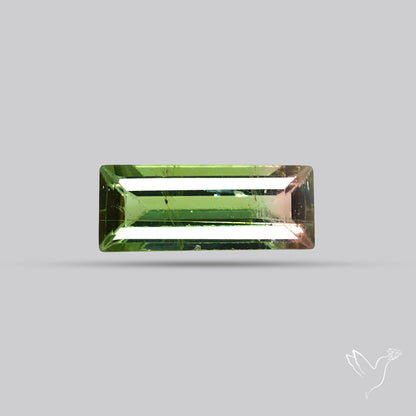 Faceted Bi-Colour Tourmaline
