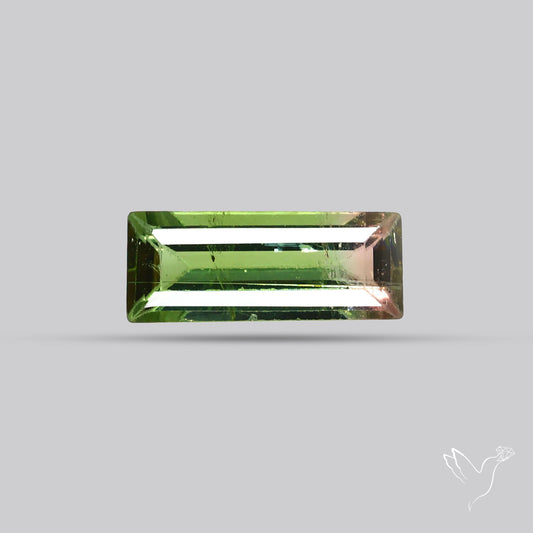 Faceted Bi-Colour Tourmaline