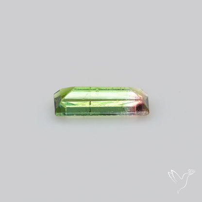 Faceted Bi-Colour Tourmaline