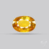Faceted Yellow Sapphire Small Multi Sapphire