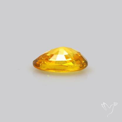 Faceted Yellow Sapphire Small Multi Sapphire
