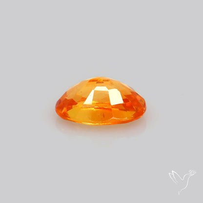 Faceted Yellow Sapphire Small Multi Sapphire