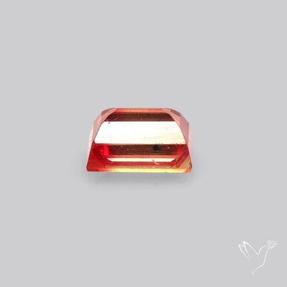 Faceted Sapphire Small Multi Sapphire