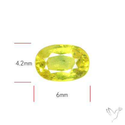 Faceted Green Sapphire Small Multi Sapphire