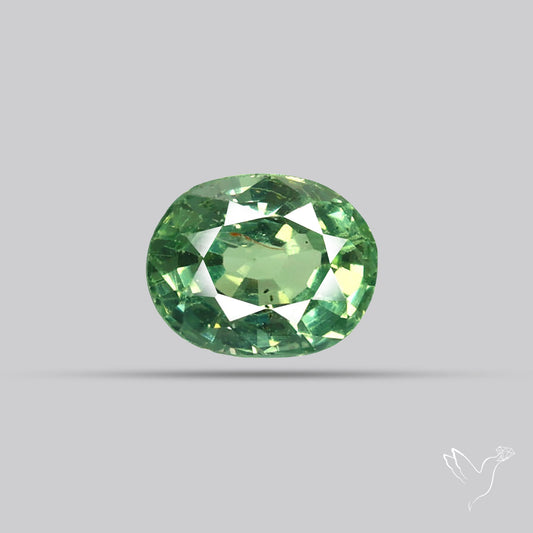 Faceted Green Sapphire Small Multi Sapphire