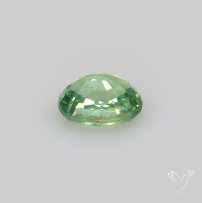 Faceted Green Sapphire Small Multi Sapphire
