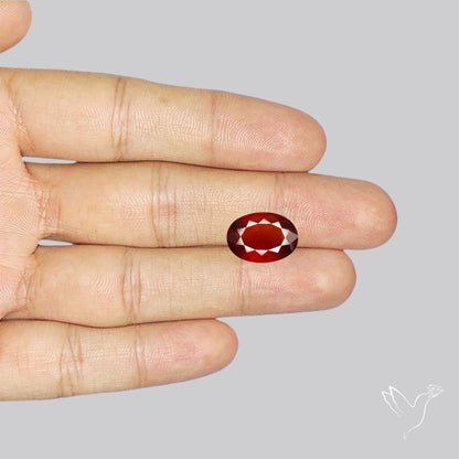 Faceted Hessonite Garnet