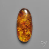 Baltic Amber Cabochon