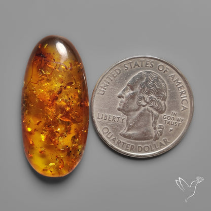 Baltic Amber Cabochon