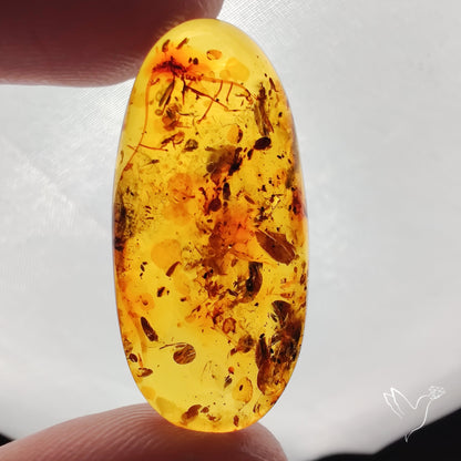 Baltic Amber Cabochon