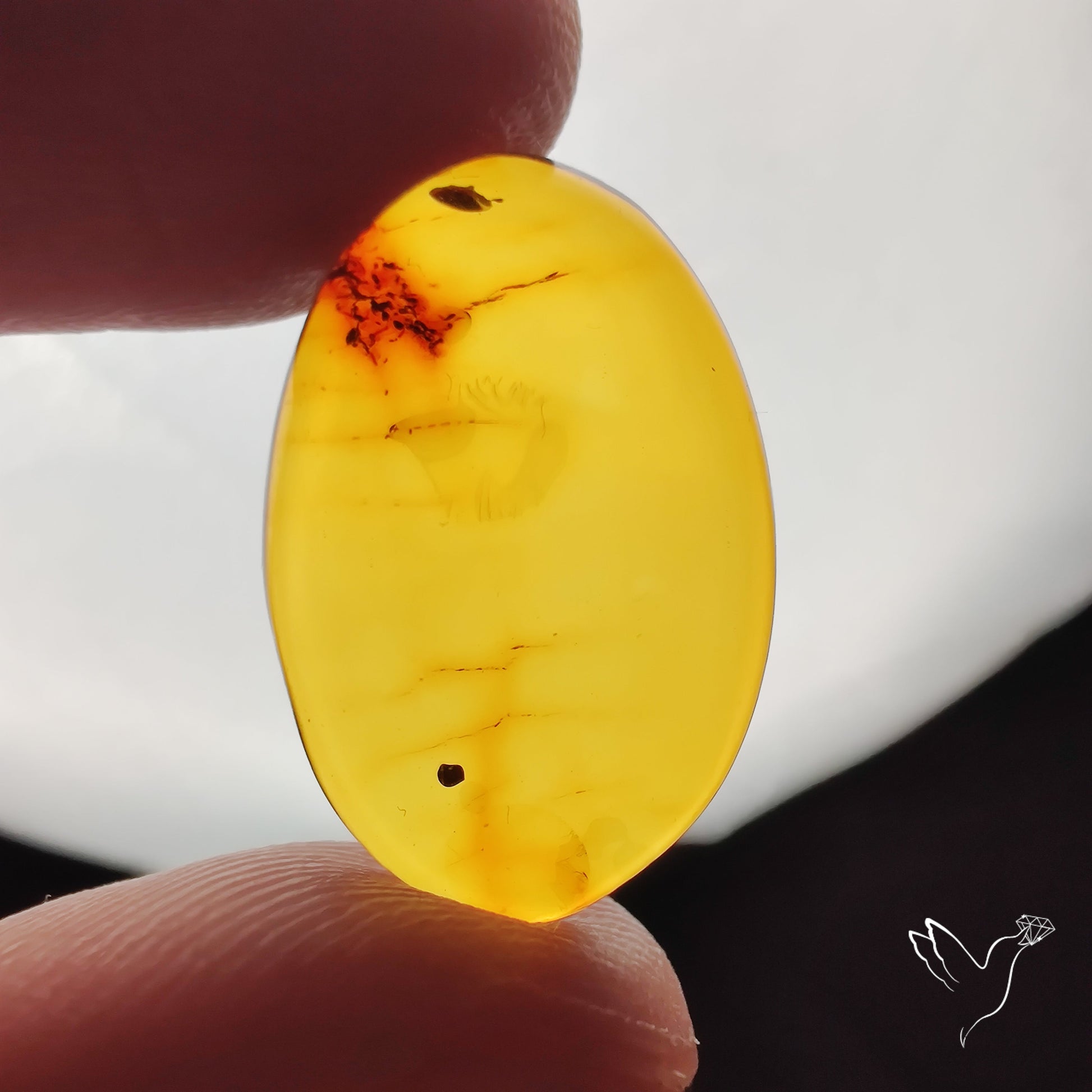 Baltic Amber Cabochon