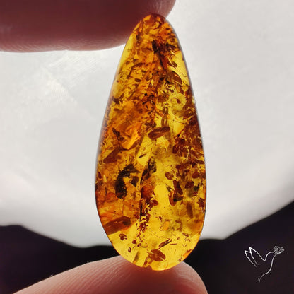 Baltic Amber Cabochon