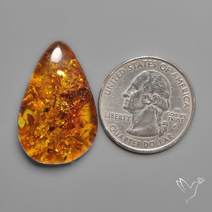 Baltic Amber Cabochon