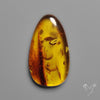 Baltic Amber Cabochon