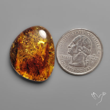 Baltic Amber Cabochon