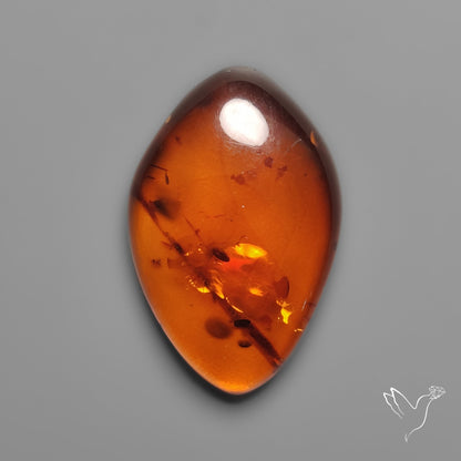 Baltic Amber Cabochon