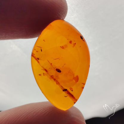 Baltic Amber Cabochon