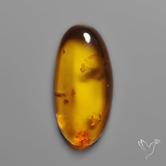 Baltic Amber Cabochon