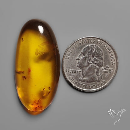 Baltic Amber Cabochon