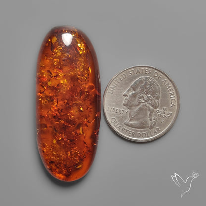 Baltic Amber Cabochon