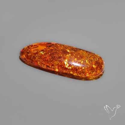 Baltic Amber Cabochon