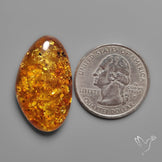 Baltic Amber Cabochon