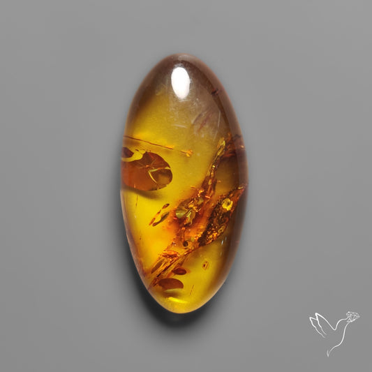 Baltic Amber Cabochon