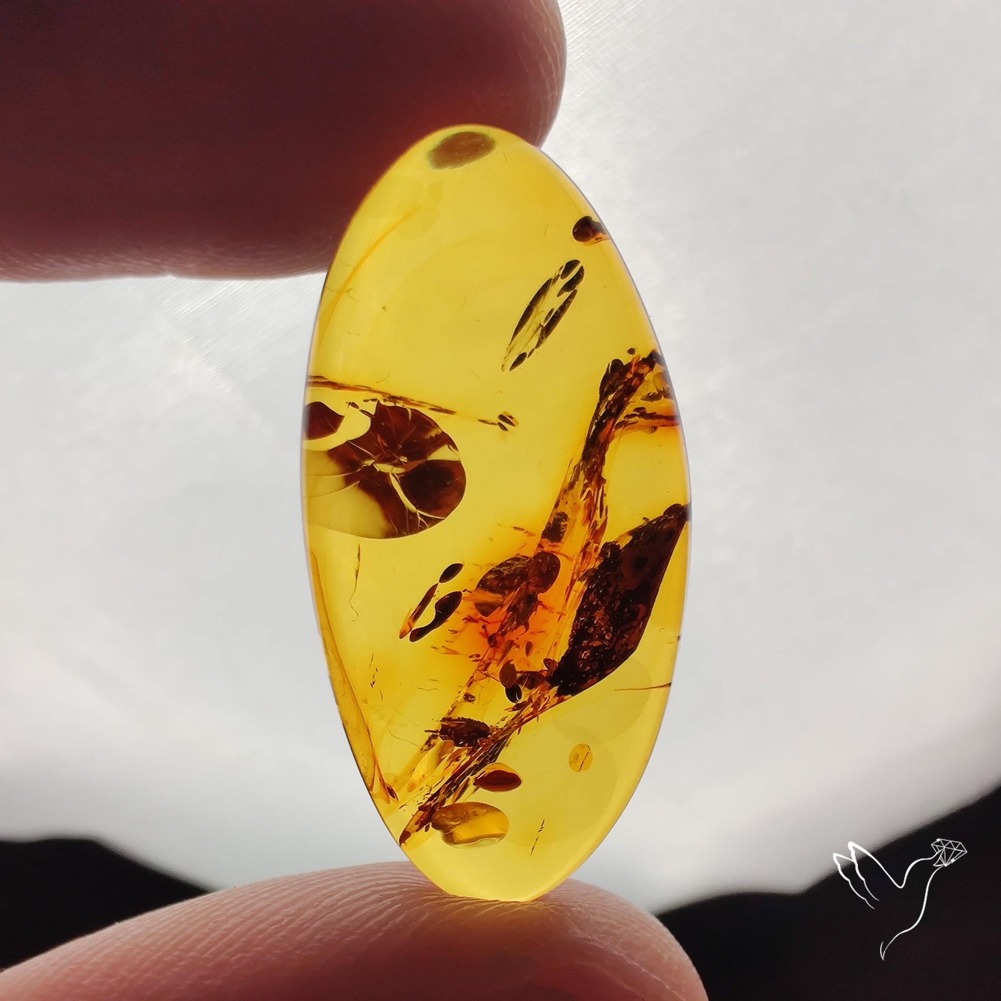 Baltic Amber Cabochon