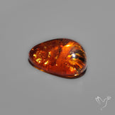 Baltic Amber Cabochon