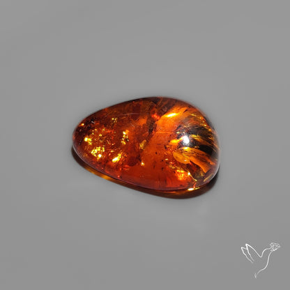 Baltic Amber Cabochon