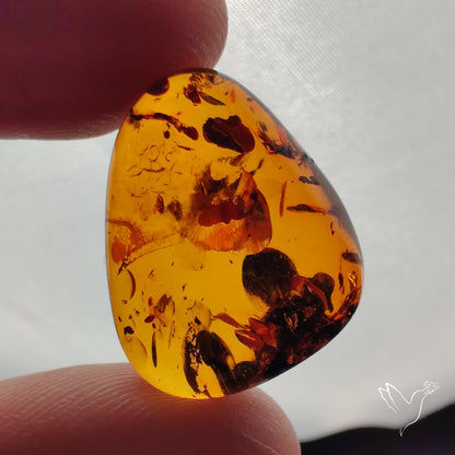 Baltic Amber Cabochon