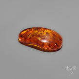 Baltic Amber Cabochon