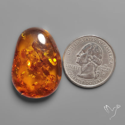 Baltic Amber Cabochon