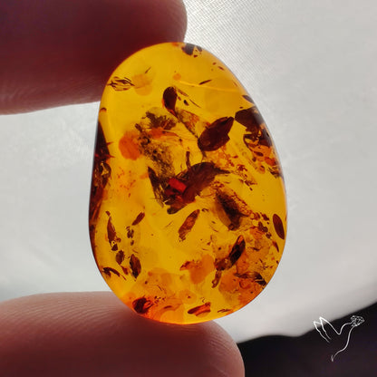 Baltic Amber Cabochon
