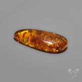 Baltic Amber Cabochon