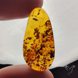 Baltic Amber Cabochon